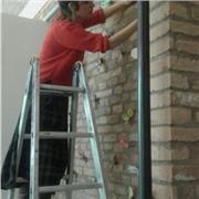 italiana madrelingua con esperienza pluriennale come insegnante di italiano per stranieri